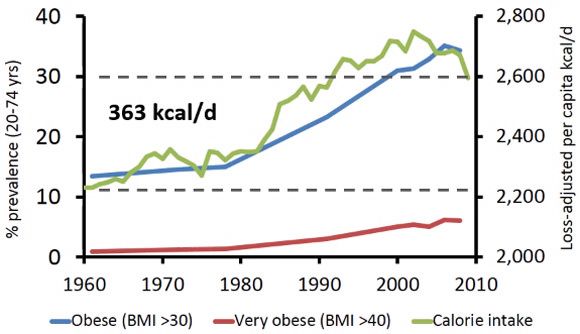 Bron: Dr. Stephan Guyenet. Why Do We Overeat? A Neurobiological Perspective.2014. (Data from CDC NHANES surveys and USDA food disappearance data)