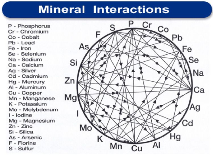 mineralen-wiel