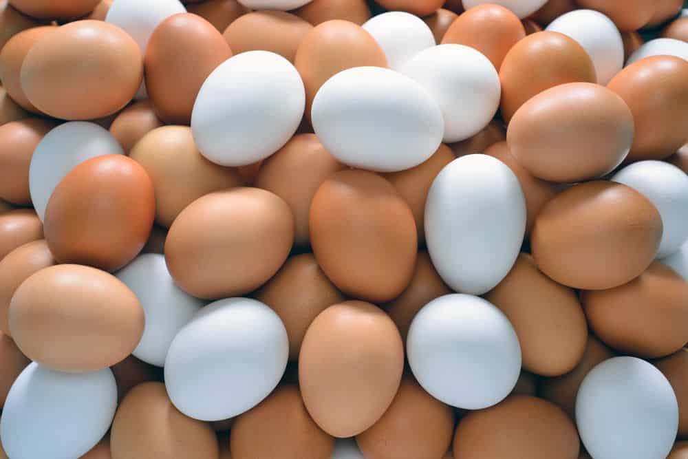 strategie Geliefde Vervolgen Bruine versus witte eieren - is er een verschil? - aHealthylife.nl