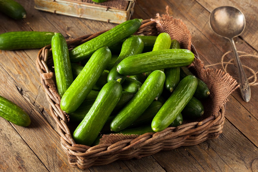 Is komkommer nou groente of fruit?
