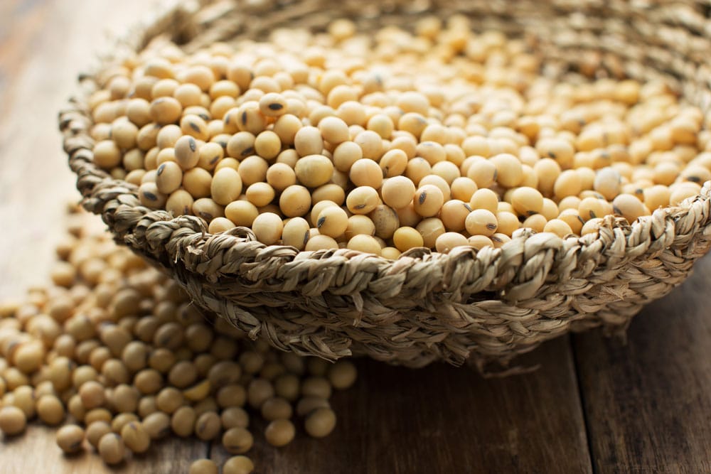 De voor en nadelen van soja en sojabonen, is het gezond of ongezond?